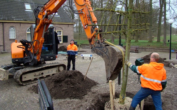 Bomen aanplanten