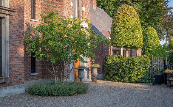 Bomen bepalen het beeld