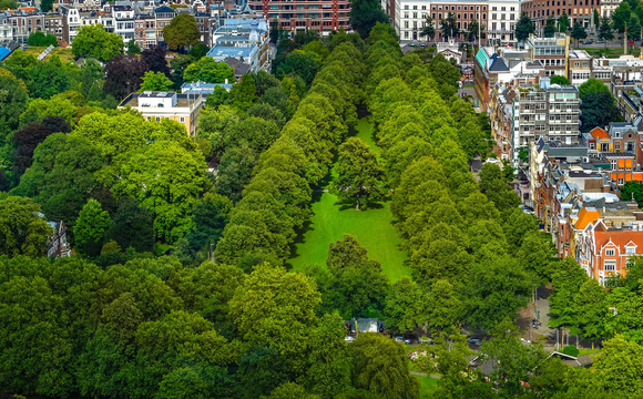 Management of vegetation: leavers and stayers