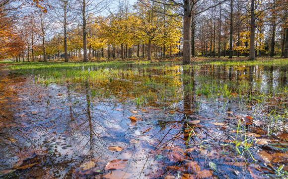 Weather Influences