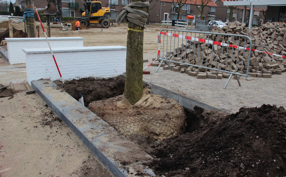 Verbetering plantplaats met schimmel gedomineerde humuscompost