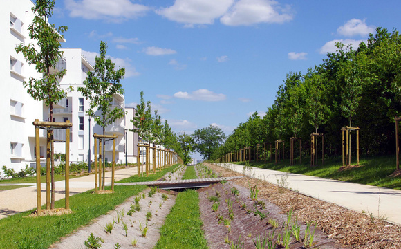 Niezabezpieczone paliki drewniane