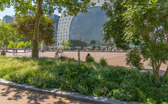 Toekomstgericht ontwerp en beplantingskeuze