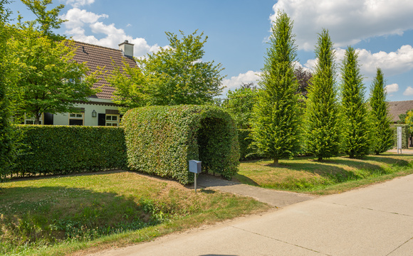 Hagen en haagelementen