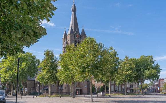 Gezonde groeiplek voor bomen