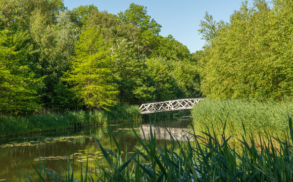 Bäume für Parks