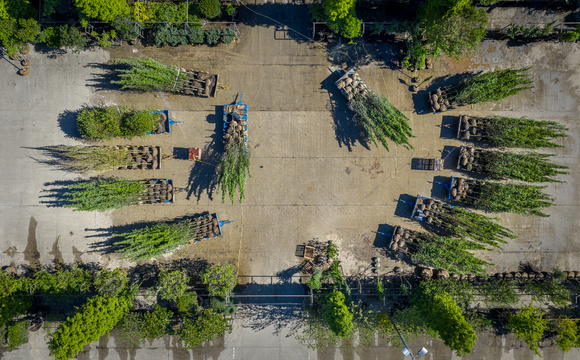 Watergeven aan recente aanplant