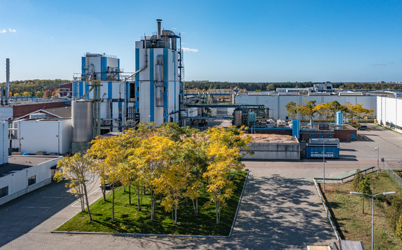 Effet éprouvé de la verdure