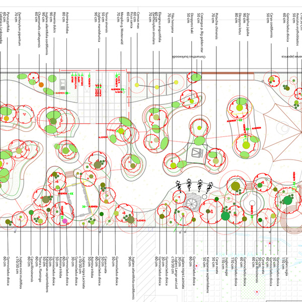 Les arbres dans le plan de plantation