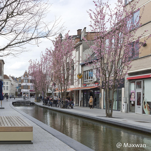 Award for public space with Ebben trees