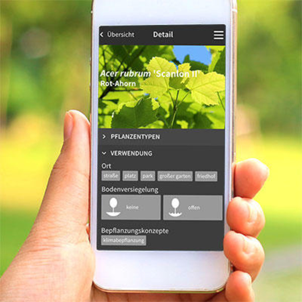 TreeEbb jetzt auch in den App Stores