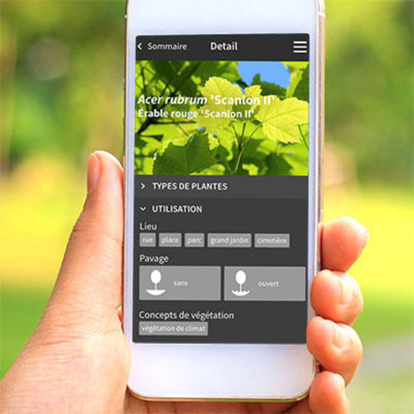 TreeEbb désormais également disponible dans les app stores