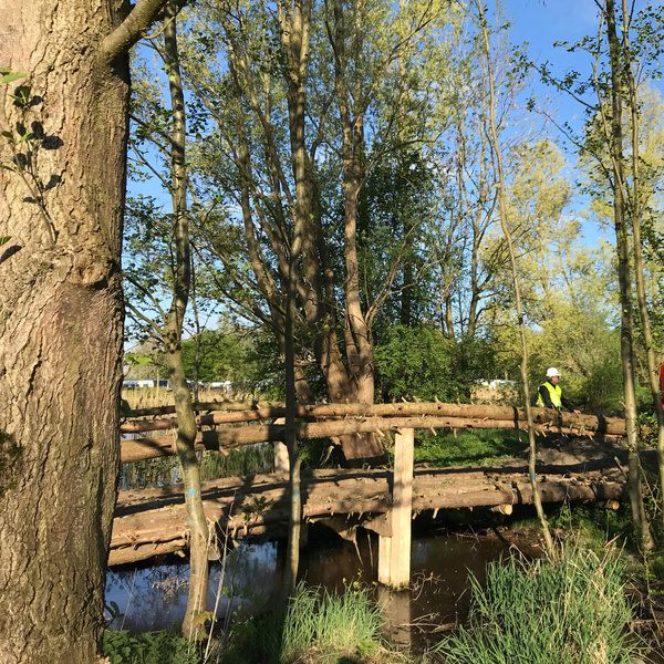 Living bridge at Floriade 2022