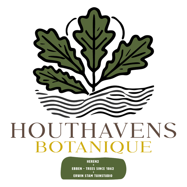 Pocket park Houthavens Botanique in Amsterdam feestelijk geopend