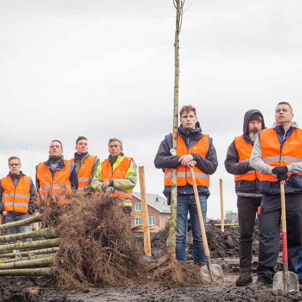 Aanplant Nationaal Monument MH17