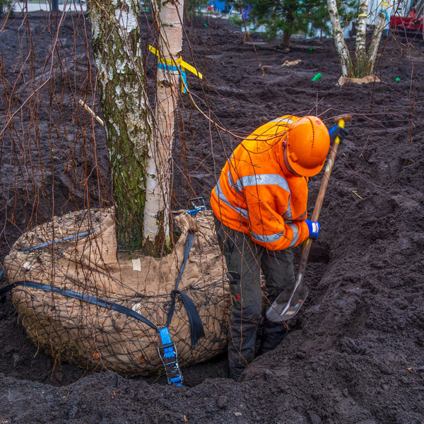 Plantgatvoorbereiding en bodemverbetering