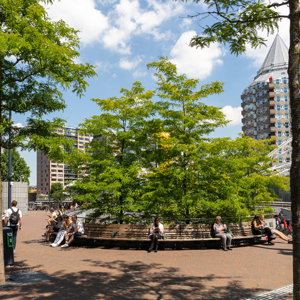 Onderzoek Stadsgroen 2021