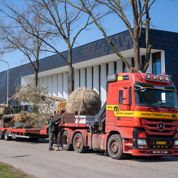 Bomen transporteren, laden en lossen