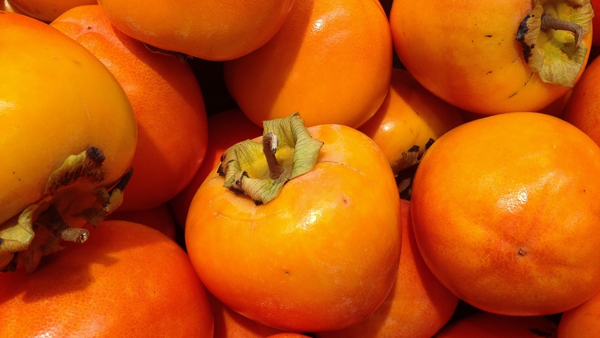 Diospyros kaki fruits