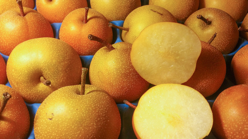 Pyrus pyrifolia owoce