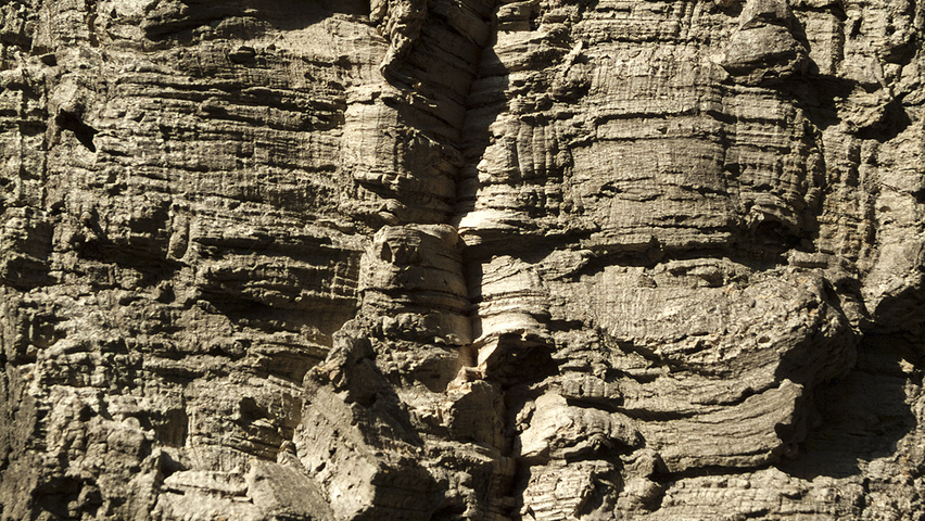 Quercus suber Rinden