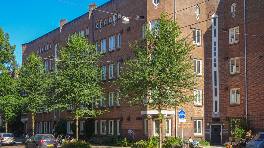 Ulmus 'Fiorente'® standard tree