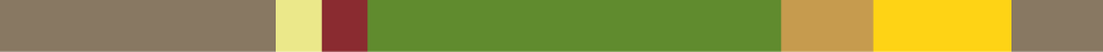 Acer platanoides 'Fairview' seizoenskleur