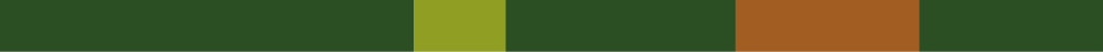 Araucaria araucana seizoenskleur